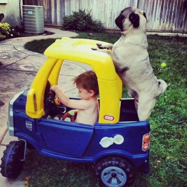 morning picdump 56 pics 50.html - 56 HD Photos | Premium Gallery 2014