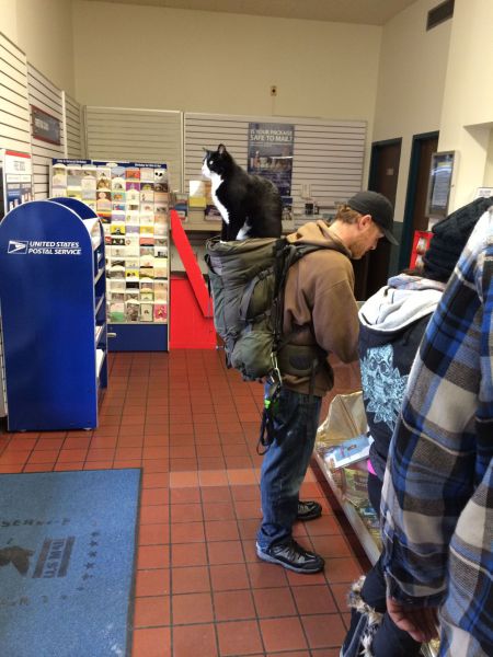 morning picdump 56 pics 50.html - 56 HD Photos | Premium Gallery 2014