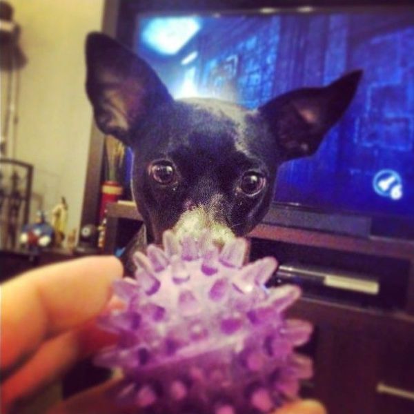 morning picdump 56 pics 50.html - 56 HD Photos | Premium Gallery 2014