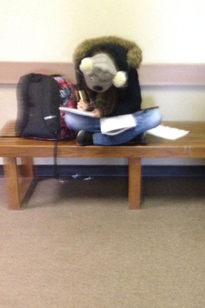 morning picdump 56 pics 50.html - 56 HD Photos | Premium Gallery 2014