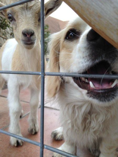 morning picdump 56 pics 50.html - 56 HD Photos | Premium Gallery 2014