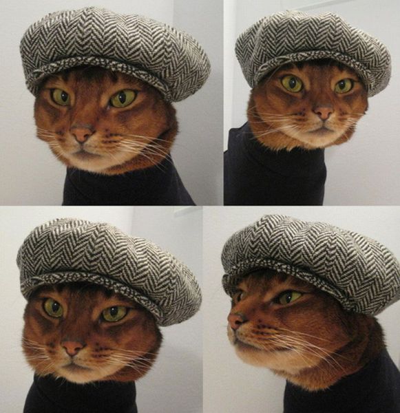 morning picdump 56 pics 50.html - 56 HD Photos | Premium Gallery 2014