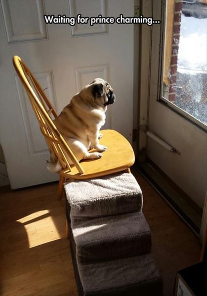 morning picdump 56 pics 50.html - 56 HD Photos | Premium Gallery 2014