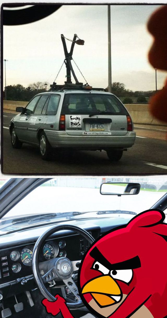 funny picdump 52 pics 13.html - 52 HD Photos | Premium Gallery 2014