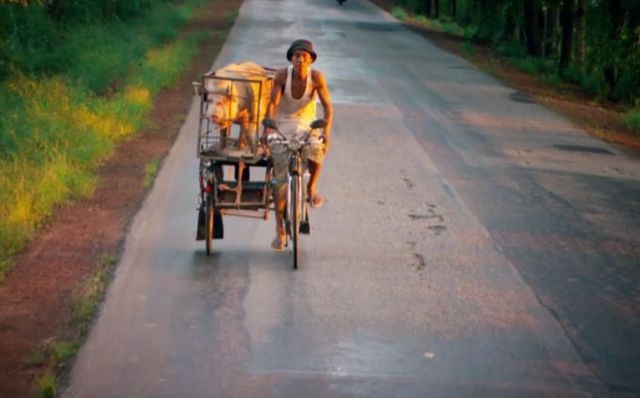 morning picdump 60 pics 12.html - 60 HD Photos | Premium Gallery 2014