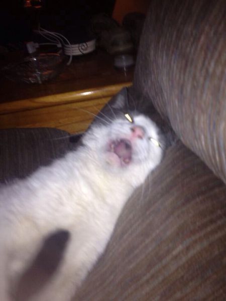 morning picdump 60 pics 12.html - 60 HD Photos | Premium Gallery 2014