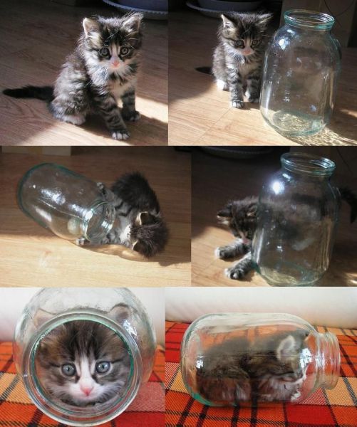 morning picdump 54 pics 1.html - 54 HD Photos | Premium Gallery 2014