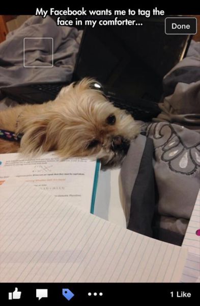 morning picdump 54 pics 1.html - 54 HD Photos | Premium Gallery 2014