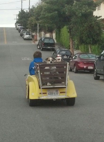 morning picdump 54 pics 1.html - 54 HD Photos | Premium Gallery 2014