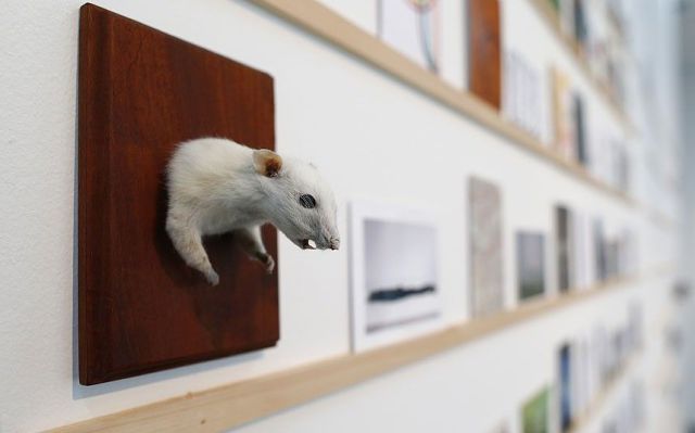 daily picdump 92 pics 23.html - 92 HD Photos | Premium Gallery 2014