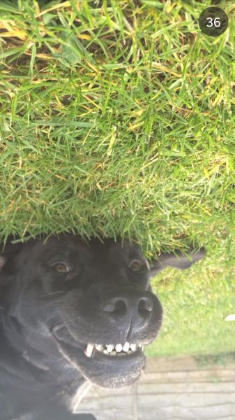 daily picdump 92 pics 23.html - 92 HD Photos | Premium Gallery 2014