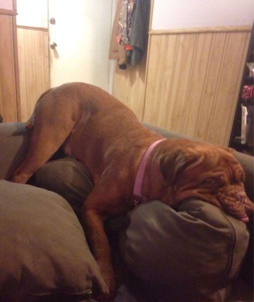 daily picdump 92 pics 23.html - 92 HD Photos | Premium Gallery 2014