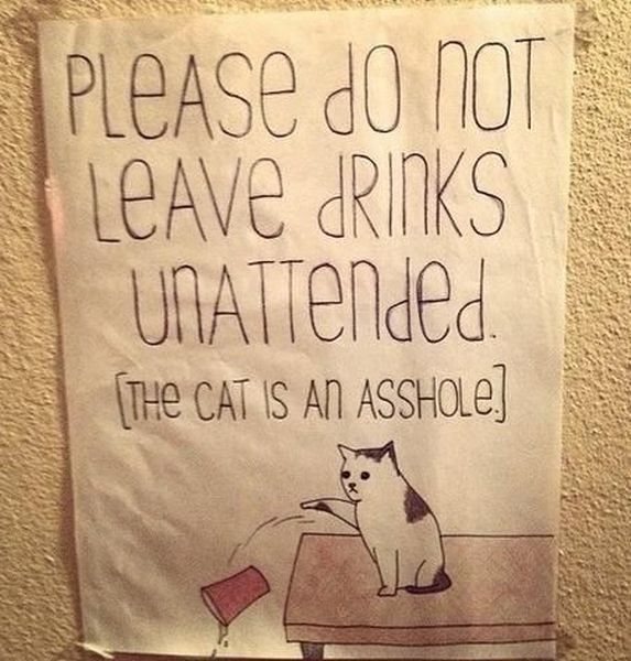 morning picdump 51 pics 17.html - 51 HD Photos | Premium Gallery 2014