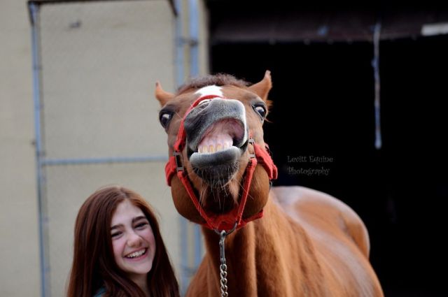 morning picdump 51 pics 17.html - 51 HD Photos | Premium Gallery 2014