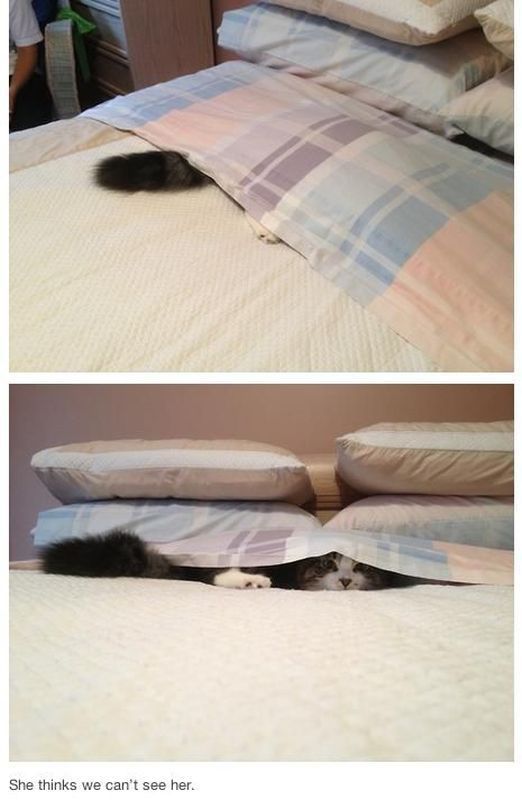 morning picdump 51 pics 17.html - 51 HD Photos | Premium Gallery 2014