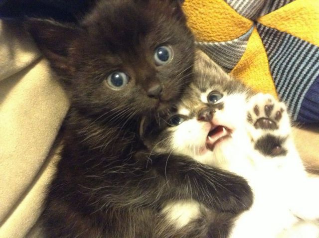 morning picdump 52 pics 14.html - 52 HD Photos | Premium Gallery 2014