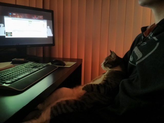 morning picdump 52 pics 14.html - 52 HD Photos | Premium Gallery 2014