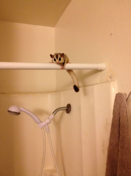 morning picdump 52 pics 14.html - 52 HD Photos | Premium Gallery 2014