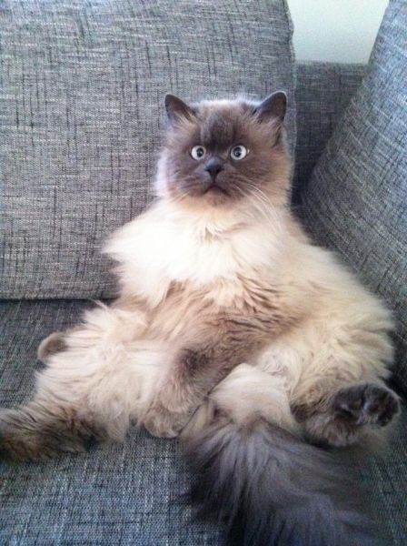 morning picdump 52 pics 14.html - 52 HD Photos | Premium Gallery 2014