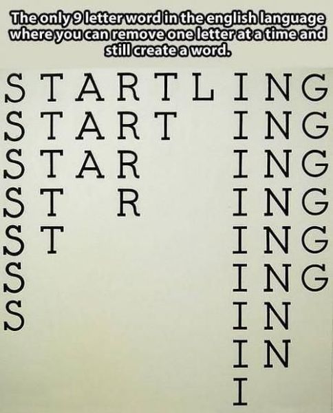 morning picdump 52 pics 14.html - 52 HD Photos | Premium Gallery 2014