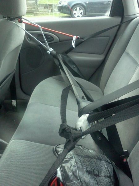 morning picdump 52 pics 14.html - 52 HD Photos | Premium Gallery 2014