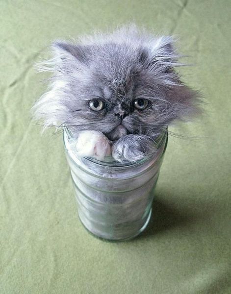 morning picdump 52 pics 14.html - 52 HD Photos | Premium Gallery 2014