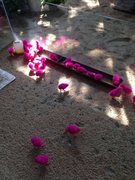 morning picdump 52 pics 14.html - 52 HD Photos | Premium Gallery 2014