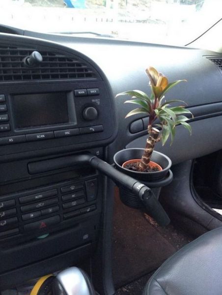 morning picdump 52 pics 14.html - 52 HD Photos | Premium Gallery 2014