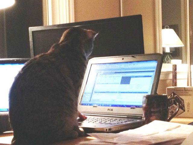 morning picdump 52 pics 14.html - 52 HD Photos | Premium Gallery 2014