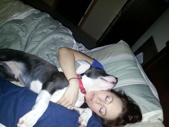 daily picdump 104 pics 45.html - 104 HD Photos | Premium Gallery 2014