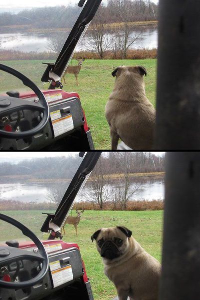 daily picdump 104 pics 45.html - 104 HD Photos | Premium Gallery 2014