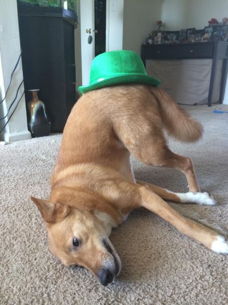 daily picdump 104 pics 45.html - 104 HD Photos | Premium Gallery 2014