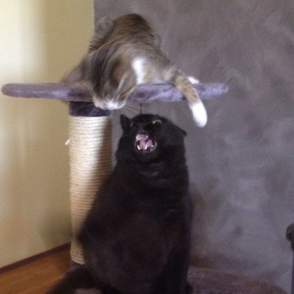 daily picdump 104 pics 45.html - 104 HD Photos | Premium Gallery 2014