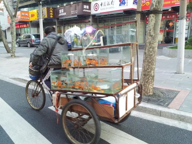 daily picdump 104 pics 45.html - 104 HD Photos | Premium Gallery 2014