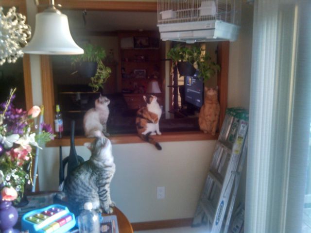 daily picdump 104 pics 45.html - 104 HD Photos | Premium Gallery 2014