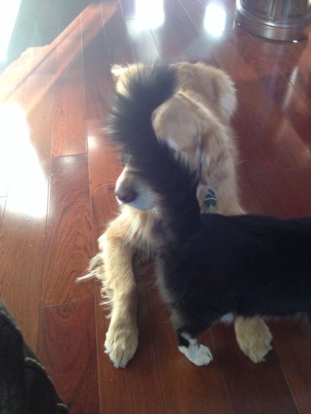 daily picdump 104 pics 45.html - 104 HD Photos | Premium Gallery 2014