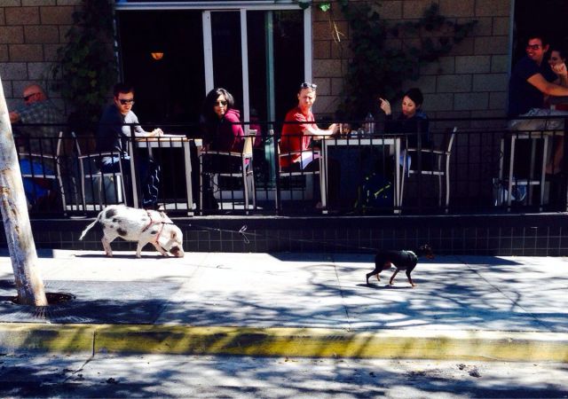 morning picdump 54 pics 1.html - 54 HD Photos | Premium Gallery 2014