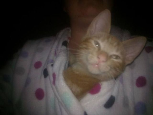 morning picdump 54 pics 1.html - 54 HD Photos | Premium Gallery 2014