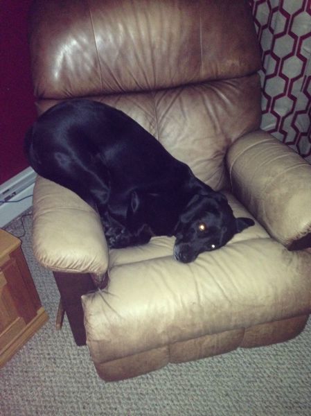 morning picdump 54 pics 1.html - 54 HD Photos | Premium Gallery 2014