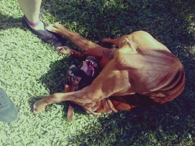 morning picdump 54 pics 1.html - 54 HD Photos | Premium Gallery 2014