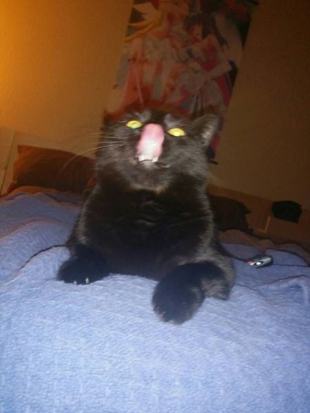 morning picdump 54 pics 1.html - 54 HD Photos | Premium Gallery 2014