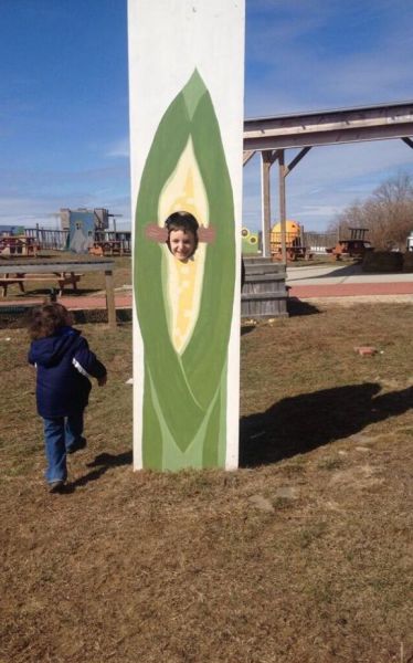 morning picdump 54 pics 1.html - 54 HD Photos | Premium Gallery 2014