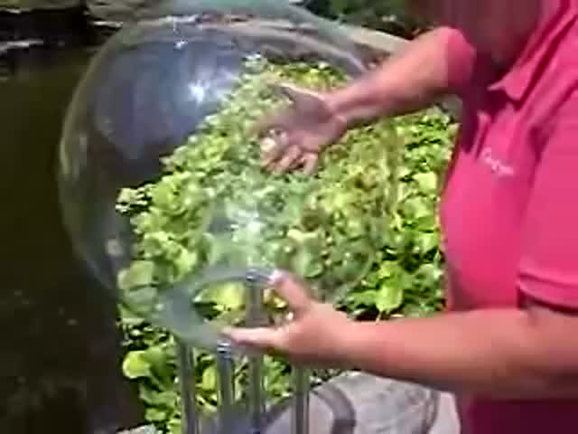 Add-A-Sphere Fish Bowl Makes Backyard Pond Cooler (2 videos)