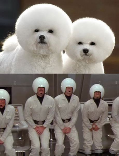 funny picdump 53 pics 21.html - 53 HD Photos | Premium Gallery 2014