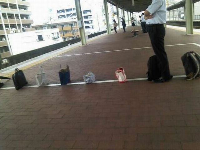 funny picdump 53 pics 21.html - 53 HD Photos | Premium Gallery 2014