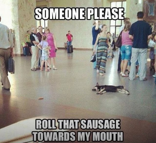 funny picdump 53 pics 21.html - 53 HD Photos | Premium Gallery 2014