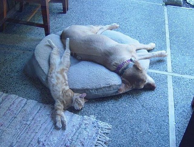 morning picdump 56 pics 8.html - 56 HD Photos | Premium Gallery 2014