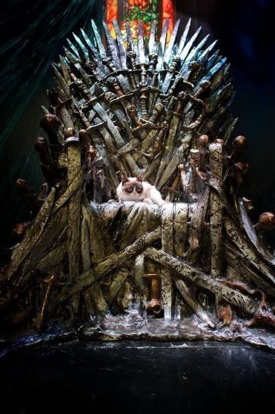 morning picdump 56 pics 8.html - 56 HD Photos | Premium Gallery 2014