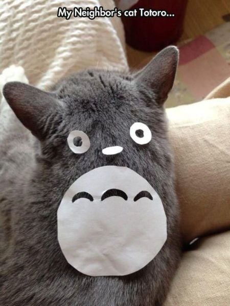 morning picdump 56 pics 8.html - 56 HD Photos | Premium Gallery 2014