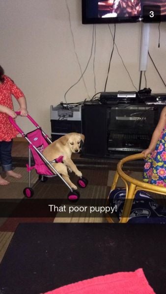 morning picdump 56 pics 8.html - 56 HD Photos | Premium Gallery 2014